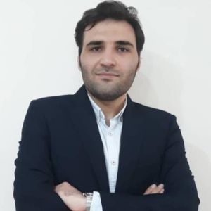 وحید ملکی