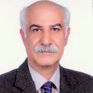وحید صالحی