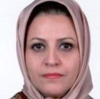 وحیده فربودی