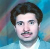 ولی محمد شیبانی