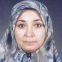 ویدا فیضی