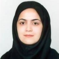 زینب نیک بین