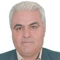 فاضل پنجه