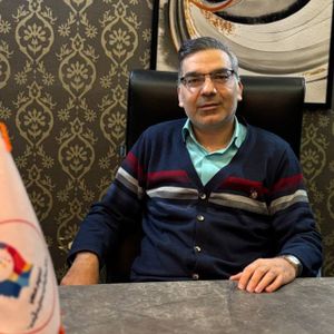 هادی محمدی