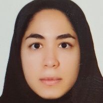 هستی حسینی