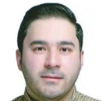 محسن ملکی گرجی
