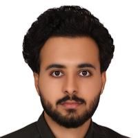 سید مصطفی میرتاج الدینی