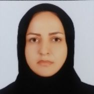 منیر صفاپور