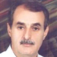 سید شمس الدین عاملی