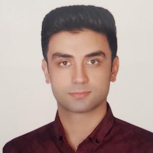شاهین شریفی