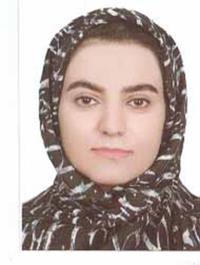  مینا رحیمی Avatar